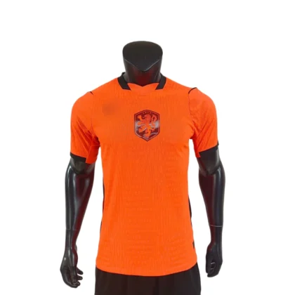Netherlands Home